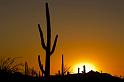 114 Saguaro National Park